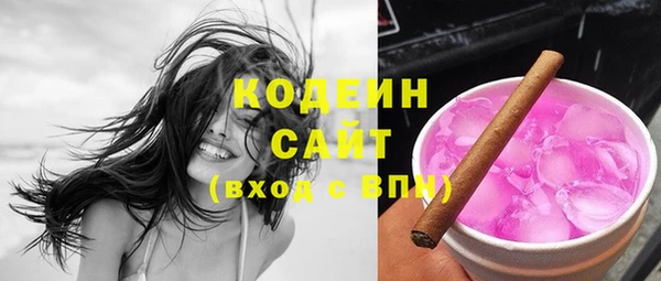 индика Чегем