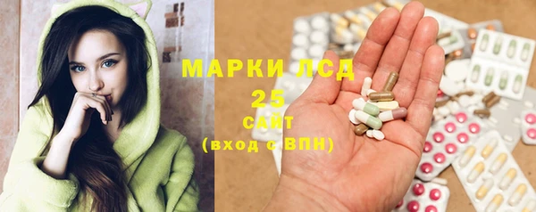 ПСИЛОЦИБИНОВЫЕ ГРИБЫ Новозыбков