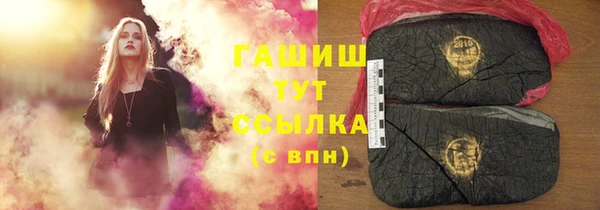 ПСИЛОЦИБИНОВЫЕ ГРИБЫ Новозыбков