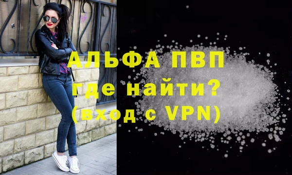 ПСИЛОЦИБИНОВЫЕ ГРИБЫ Новозыбков