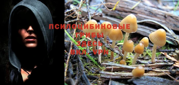ALPHA PVP Нязепетровск