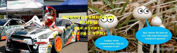 гидропоника Няндома