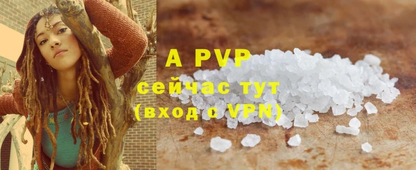 ПСИЛОЦИБИНОВЫЕ ГРИБЫ Новозыбков