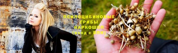 а пвп мука Новодвинск