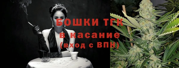 прущие грибы Чердынь