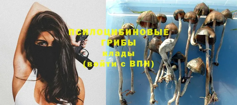 мориарти как зайти  купить  цена  Ленинск  Галлюциногенные грибы мицелий 