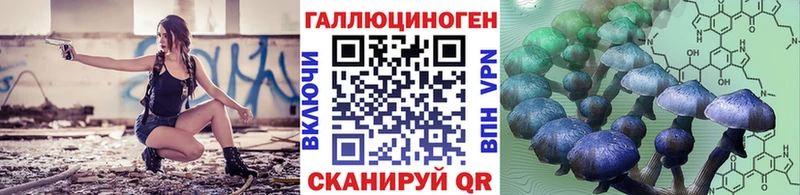 Галлюциногенные грибы Psilocybine cubensis  гидра tor  Ленинск 